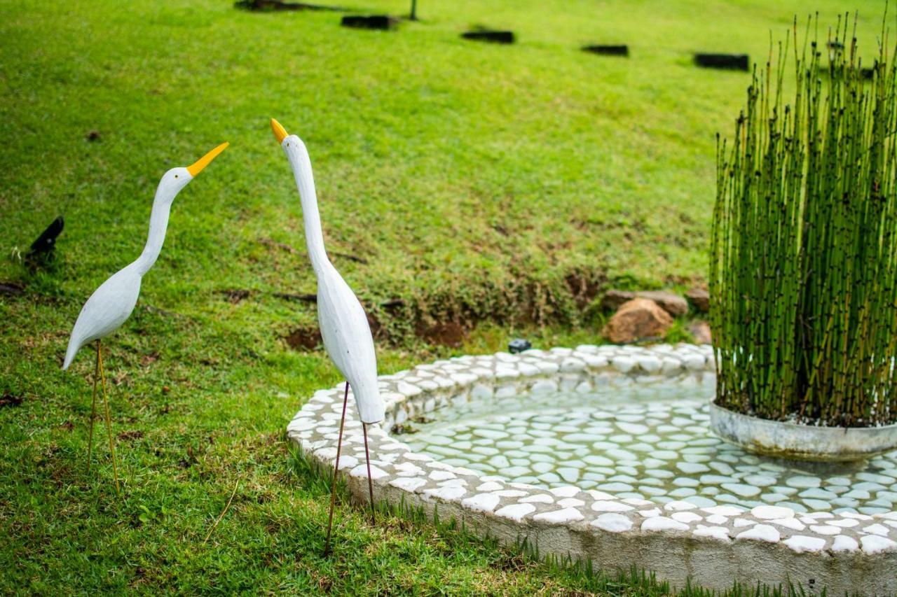 Pousada Toca Dos Tucanos Campos do Jordão Buitenkant foto